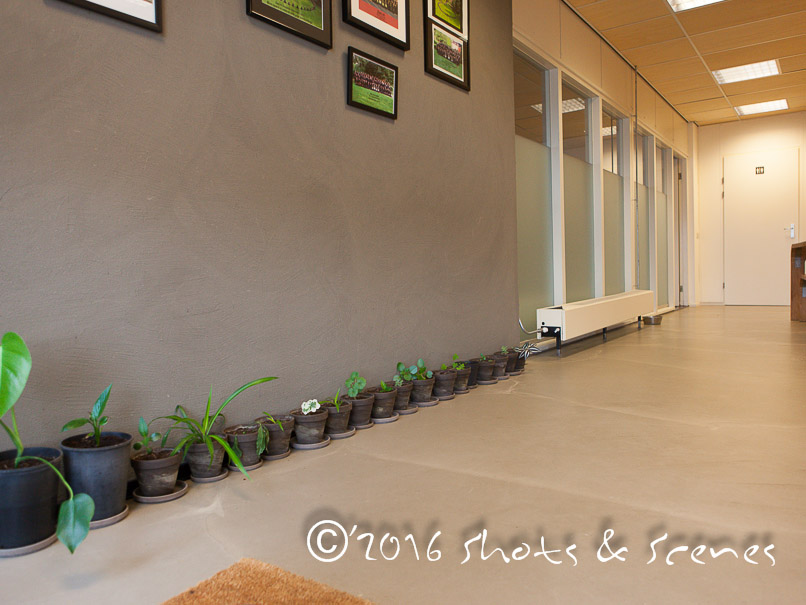 Zen Centrum Arnhem
